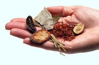 Dissertation native healing traditions