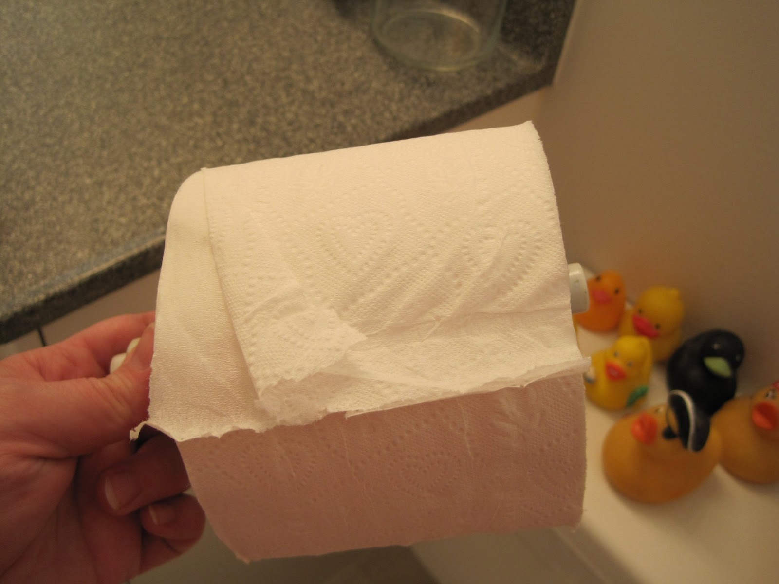 Remedial Adulthood How to replace a toilet paper roll