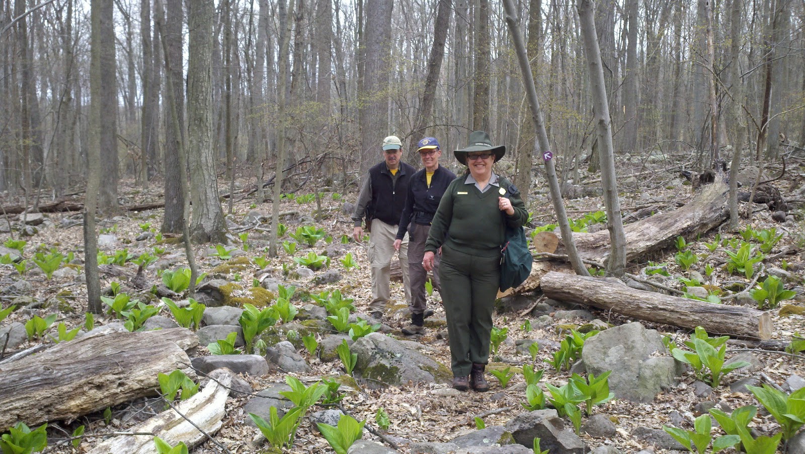Hike the Highlands Hopewell Furnace and Big Woods