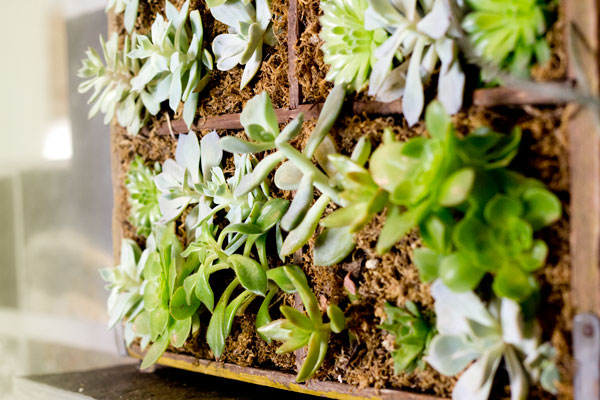 Strange's Garden Center: Vertical Gardening- Indoor Edition