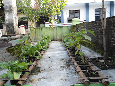 PEMANFAATAN LAHAN KOSONG DI KORAMIL-15/GEMOLONG