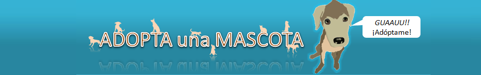 Adopcion de mascotas