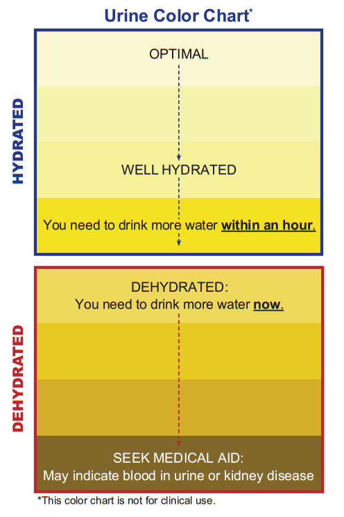 Normal Urine Color Chart