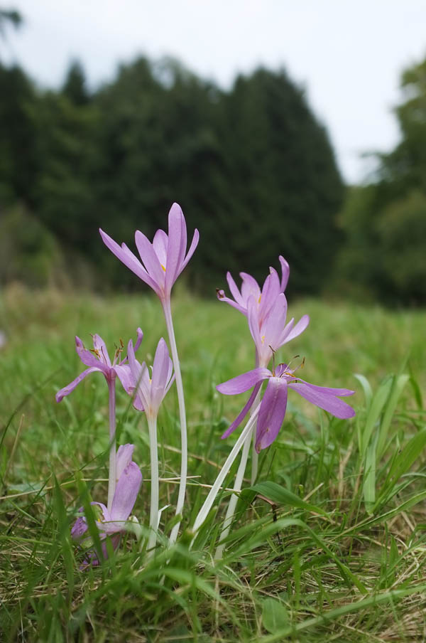 News Kosmetikschule Engler In Frankfurt Am Main Ihre Top