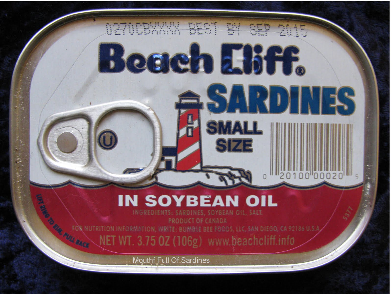 Mouth Full of Sardines Beach CliffSardines