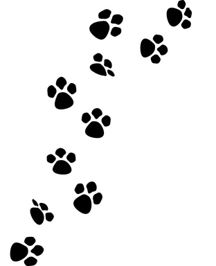 Cat Prints