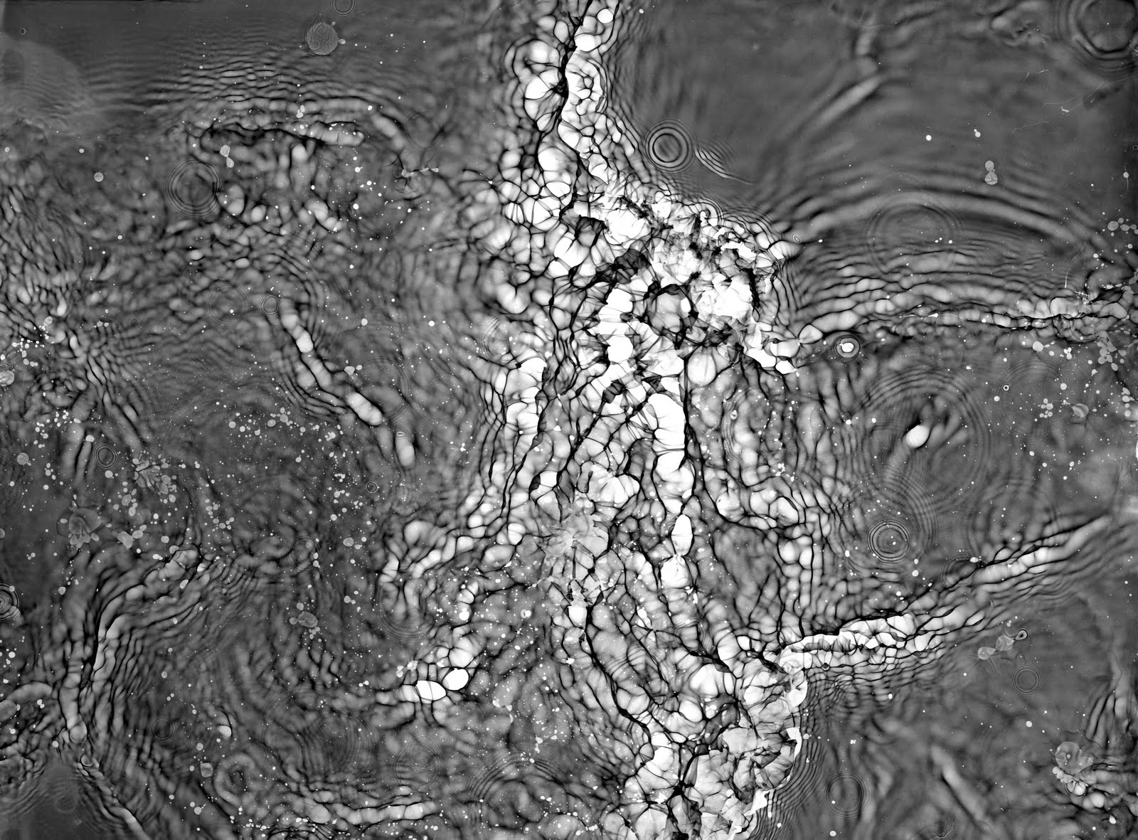 John Barham Cameraless Photography