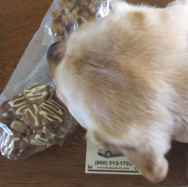 Good Treats For Dogs With Sensitive Stomachs Good Treats For Dogs With Sensitive Stomachs