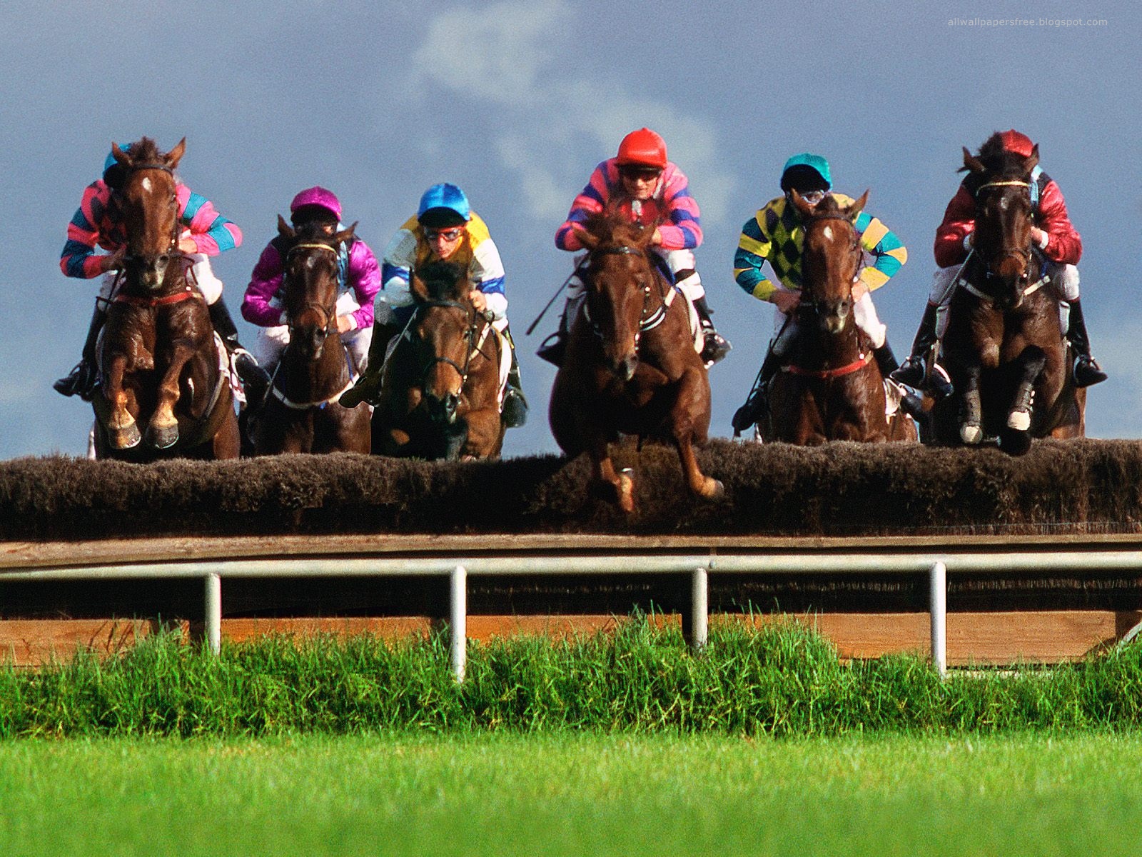 Top 31 Amazing And Dashing Horse Racing Wallpapers In HD