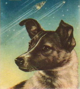 la perra laika la perra laika