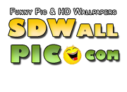 Free HD Desktop Wallpapers Download Online