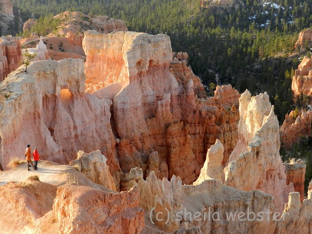 visitors are having a close up to with the hoodoos