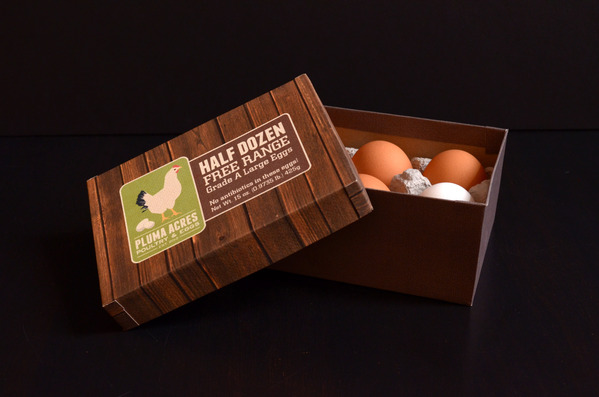 egg packaging design