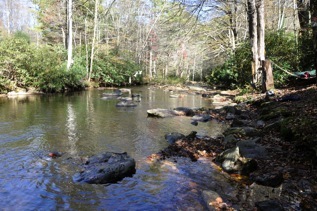 Hiking to the Heights: Fly-fishing in Boone Fork Creek for Monster