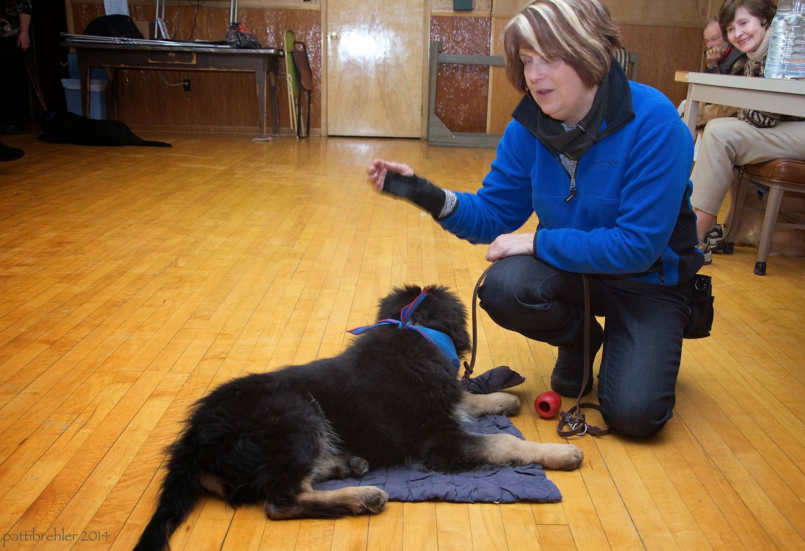 A woman dressed in a blue fleece jacket and blue jeans is kneeling on one knee on a wood floor facing a small german shepherd puppy. He is lying on a blue "mat" and facking her. She is gestering with her right hand, which has a black wrist brace on it, and is holding the pup's brown leather leash with her left hand at her right knee. A man and a woman are in the background on the right side smiling and watching the two.