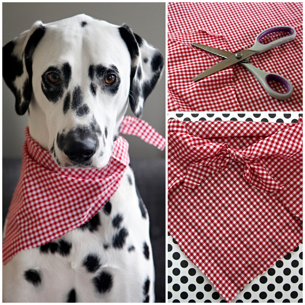 Diy Dog Collar Sew Dog Bandana Diy Dog Handkerchief Collar Snap