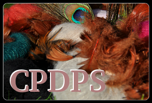 CPDPS