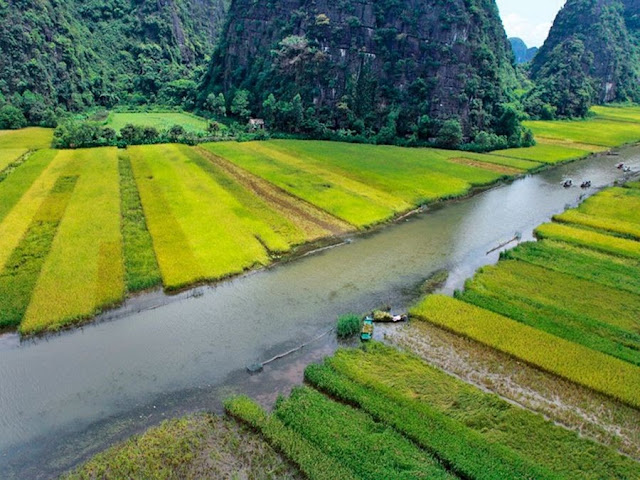 Mountains and Paddy Fields of Tom Coc