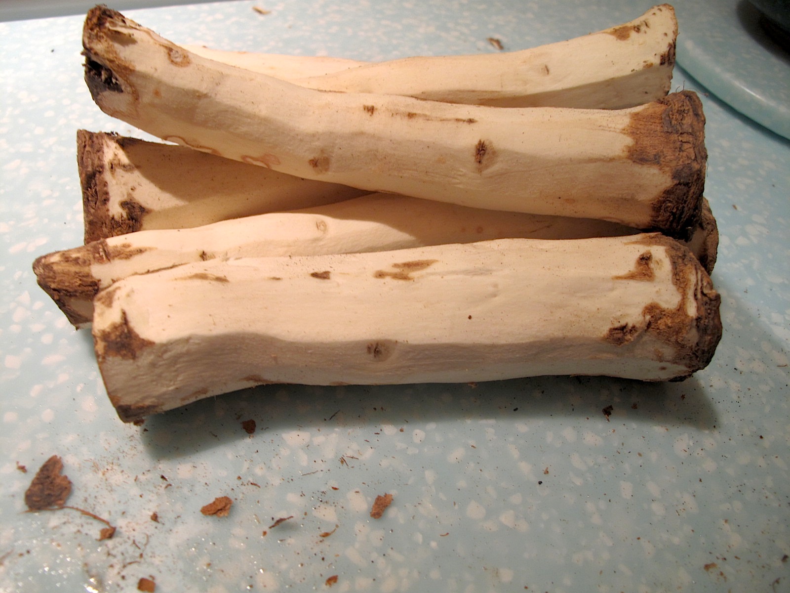 somerville kitchen Best Horseradish Supplier Ever