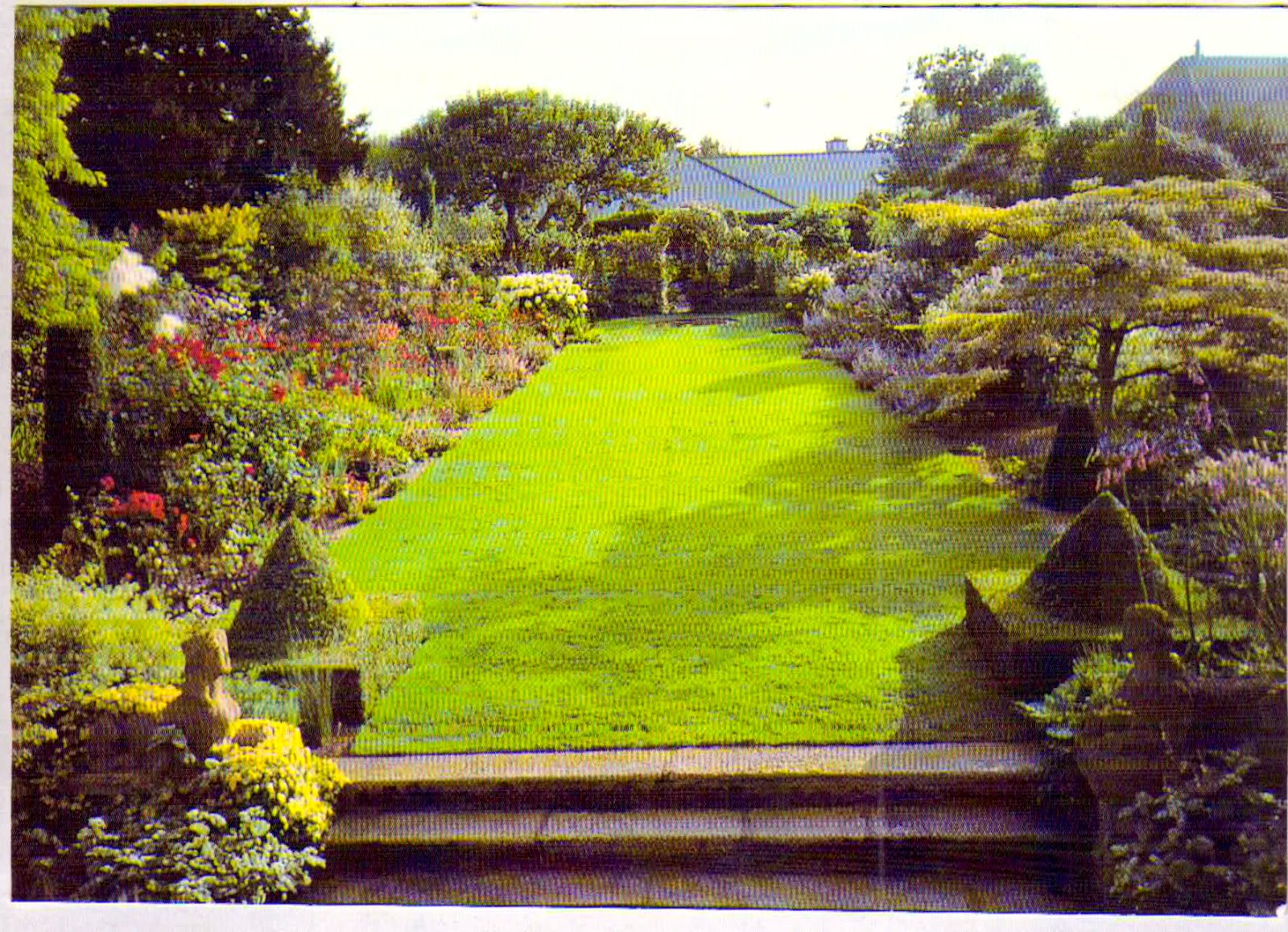 P O T A G E R Helen Dillon Garden Summer