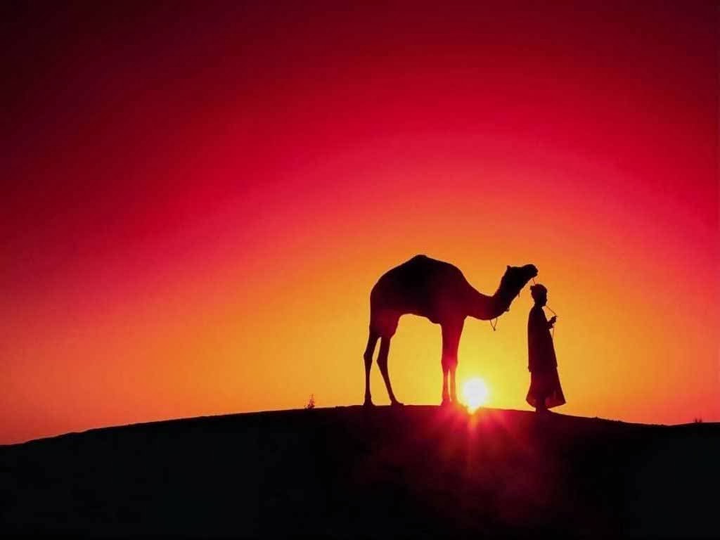 HD Wallpapers: Desert Wallpapers