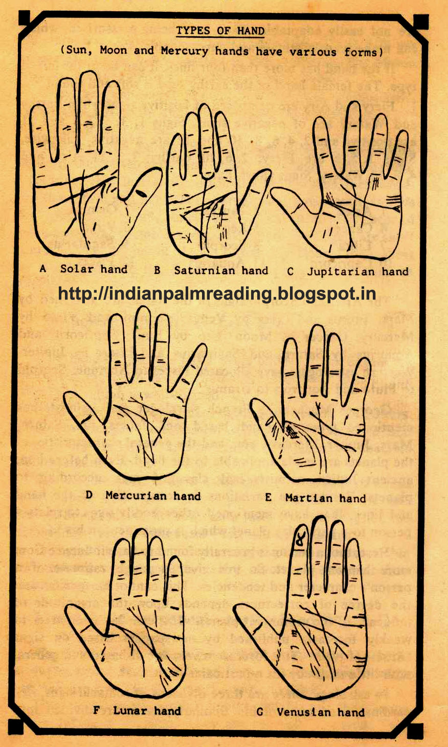 Types Of Hands In Palmistry INDIAN PALM READING HAST REKHA TOTKE