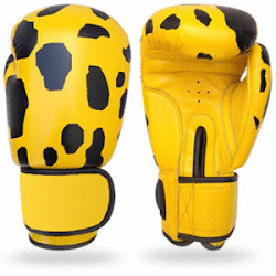 Boxing Equipments Low prices Best Quality