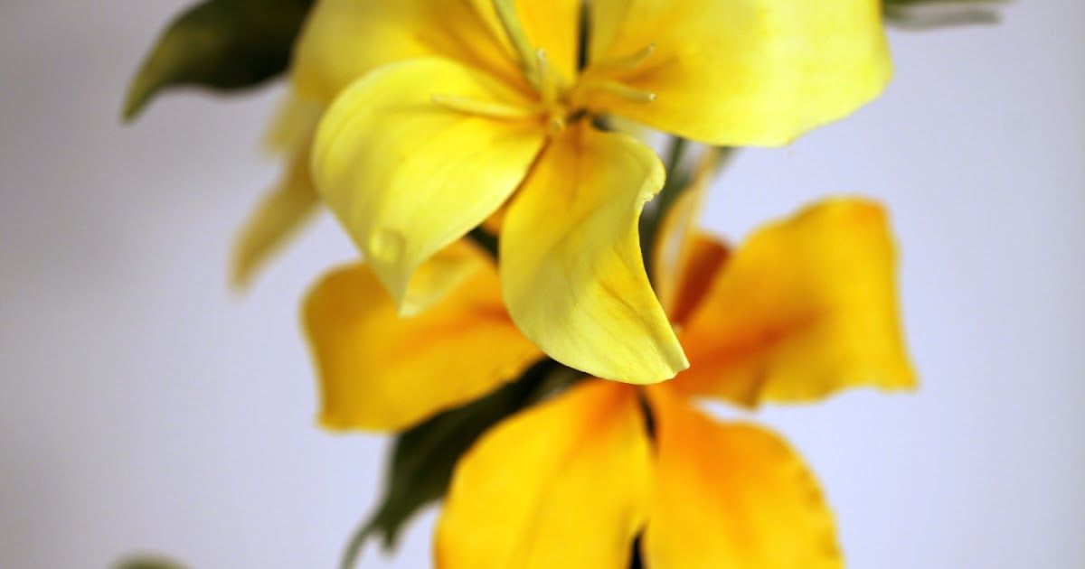 Shaile's Edible Art Sugar Flowers and Sharing...