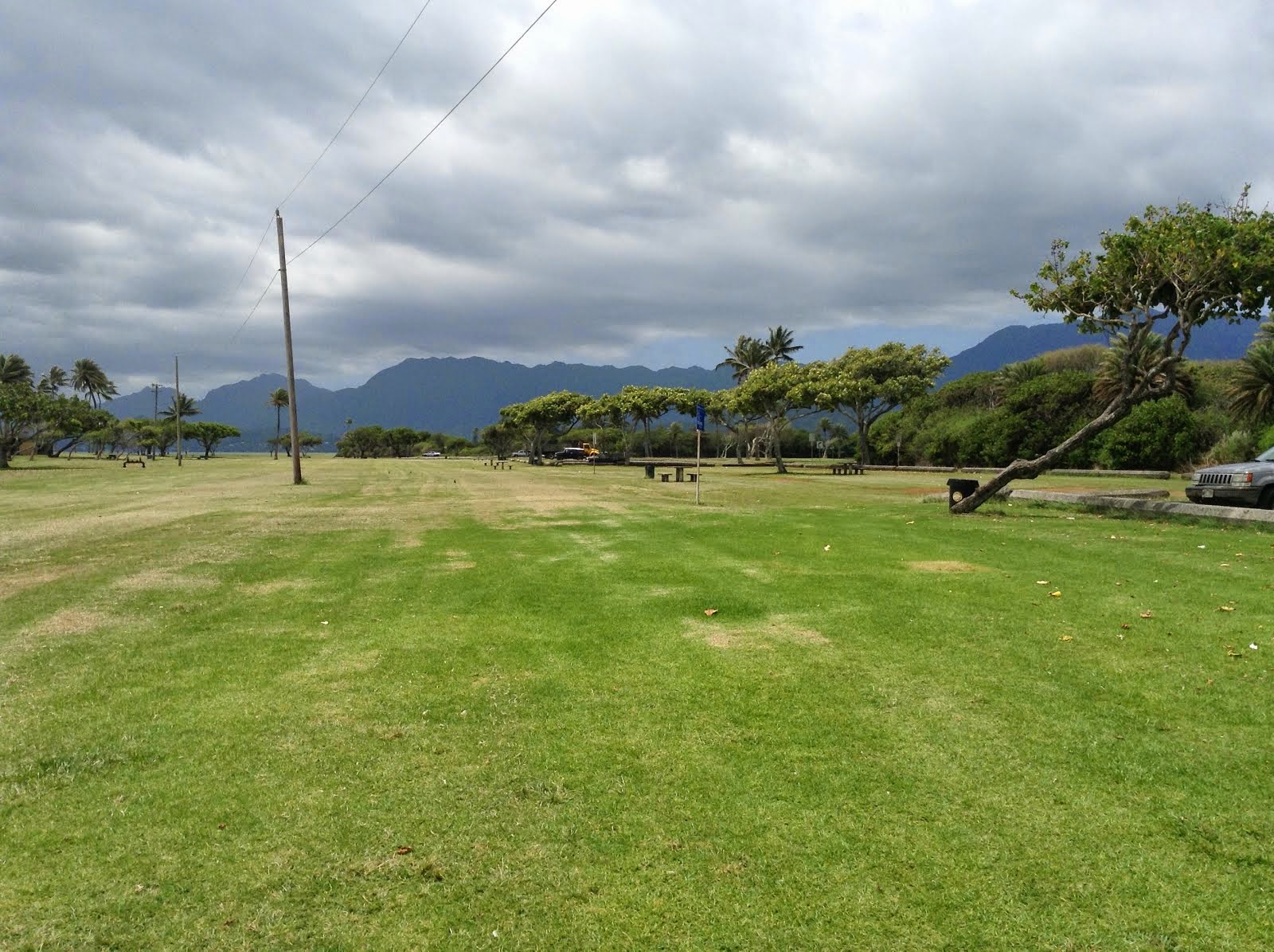 HAWAII NORTH SHORE GREENERY