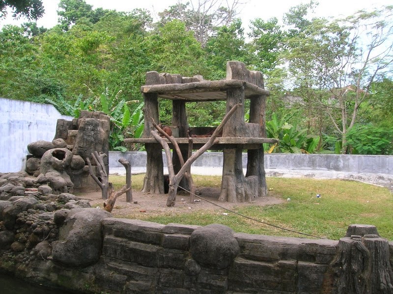 Liburan di Kebun Binatang Gembira Loka Yogyakarta