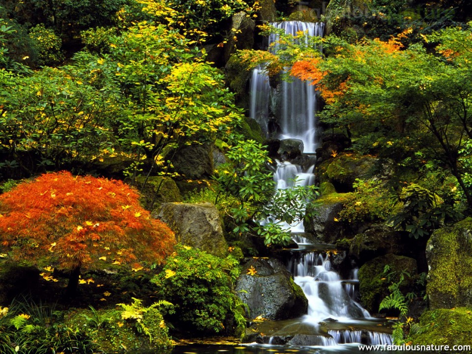 美しい日本 。。。 Das schöne Japan   Japanese+Garden%252C+Portland%252C+Oregon