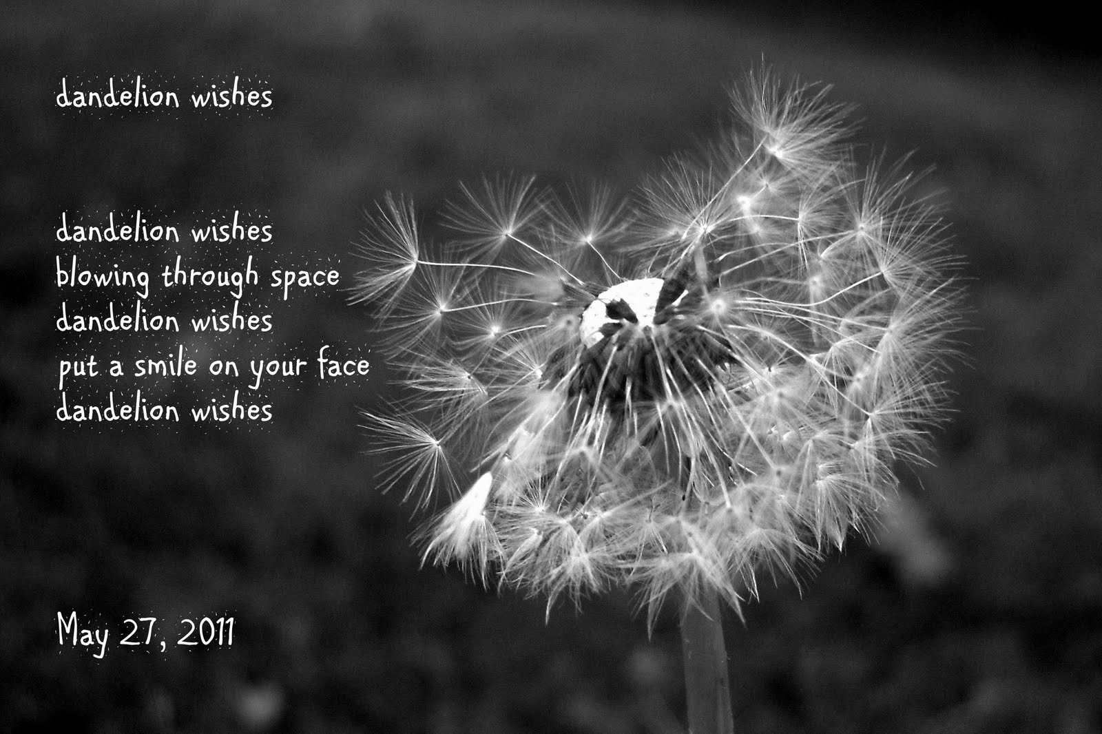 Dandelion Quotes And Sayings And Poems. QuotesGram