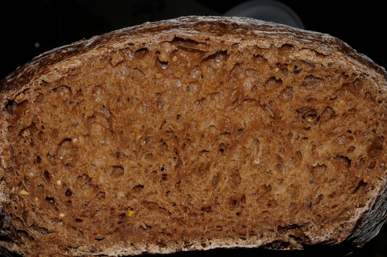 my discovery of Bread Brown Sourdough Mountain