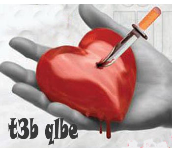 4d8e4558ea.jpg