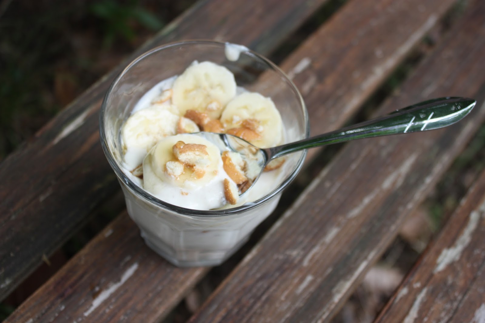 Chow and Chatter Banana Pudding Greek Yogurt