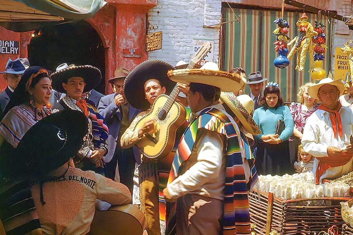 Zeb 243 Neoaparvalhado Janeiro 2015