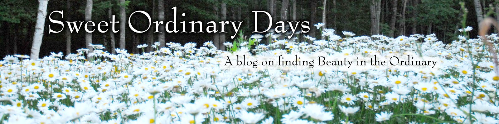 Sweet Ordinary Days Blog