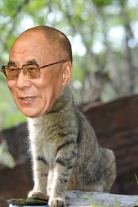 Celeb Cat of the Week 14th Dalai Lama Jetsun Jamphel Ngawang Lobsang