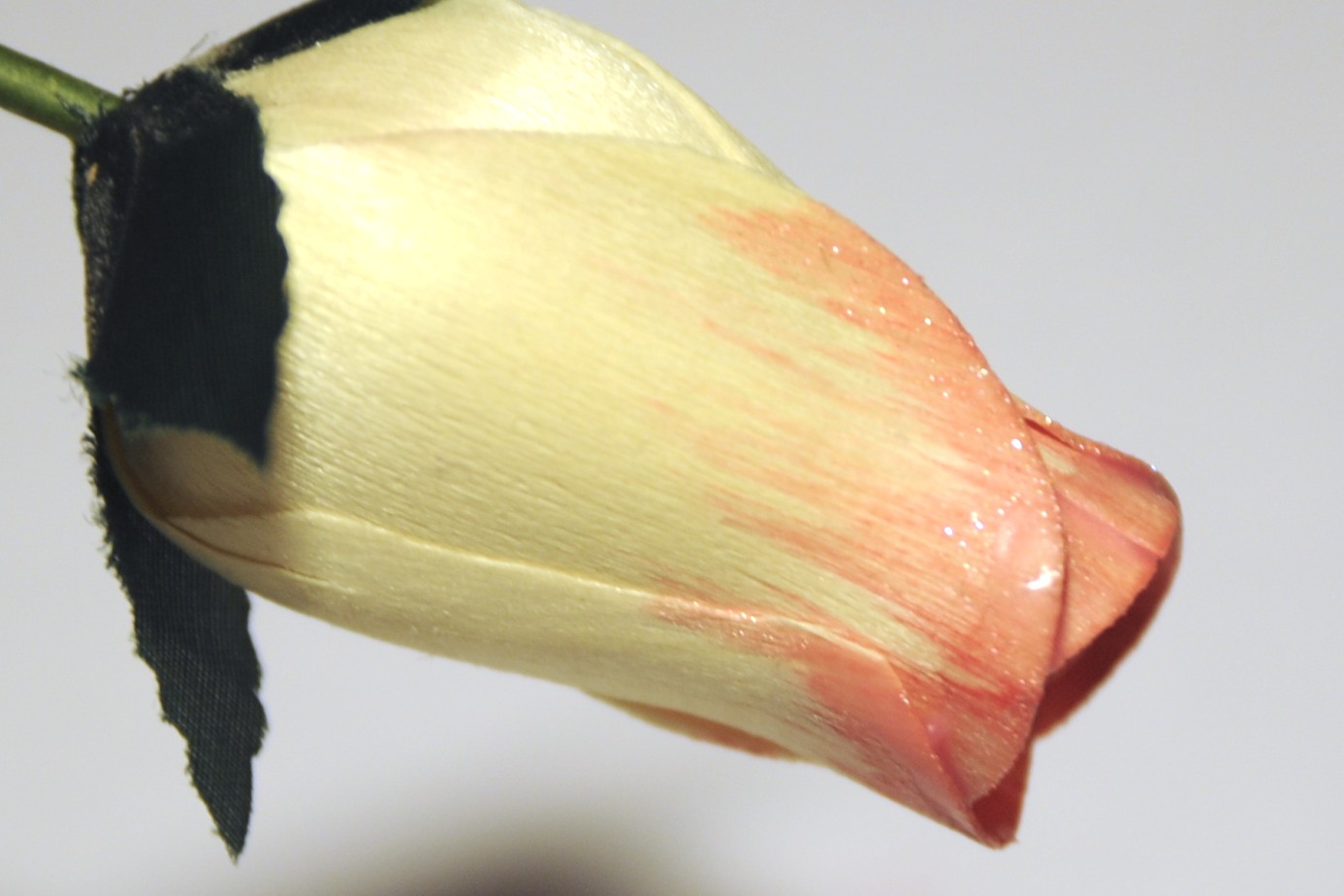 Creative Inspirations Paint dipped roses...