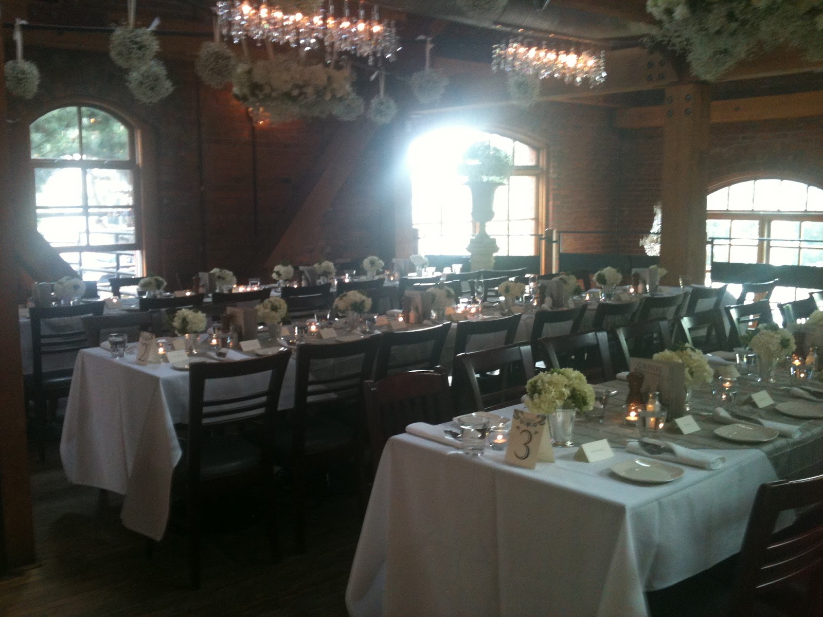 Blue Lily Event Planning Sneak Peek.. Alix and Craig Wedding