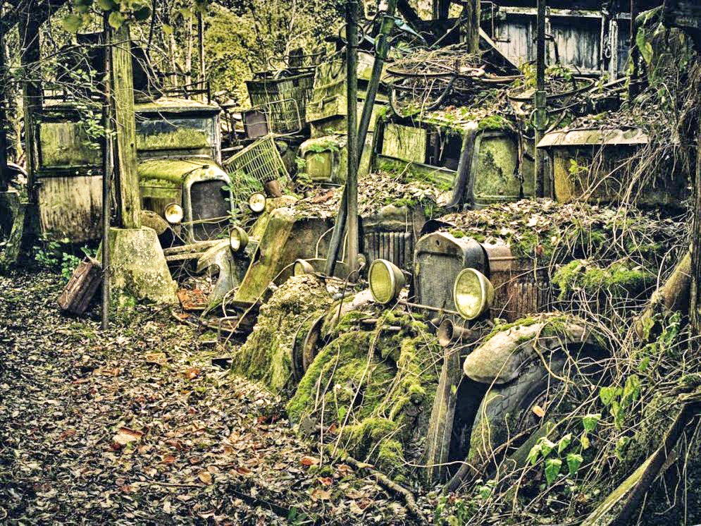 Original Linzer Worte Die Lesebuhne Eures Vertrauens 2013