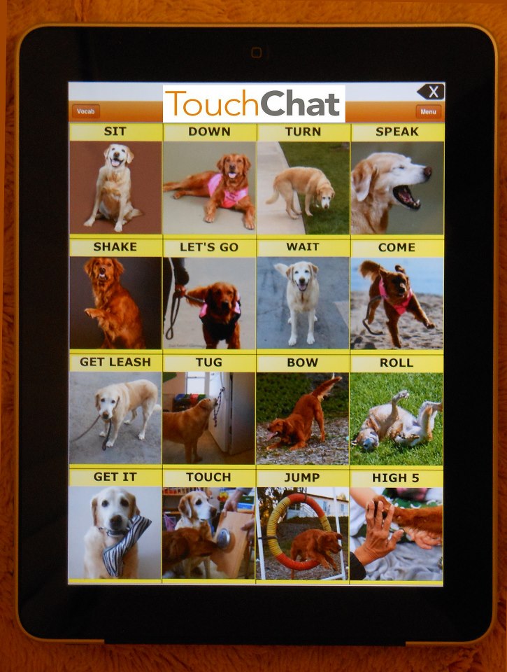 SCAACN iPad Dog Commands TouchChat