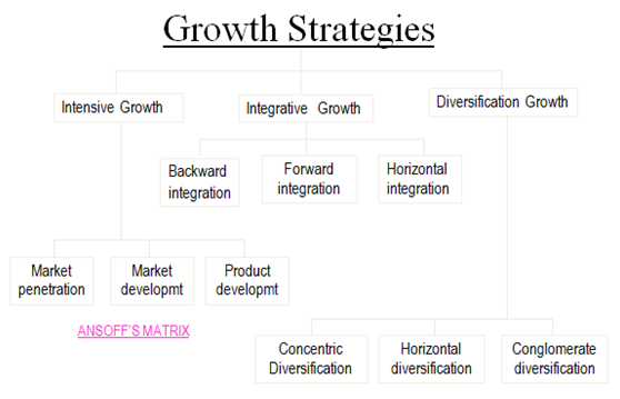 What is an intensive growth strategy?