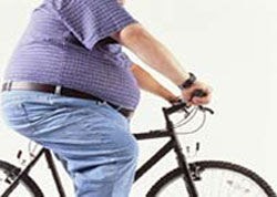 bike seats for fat guys