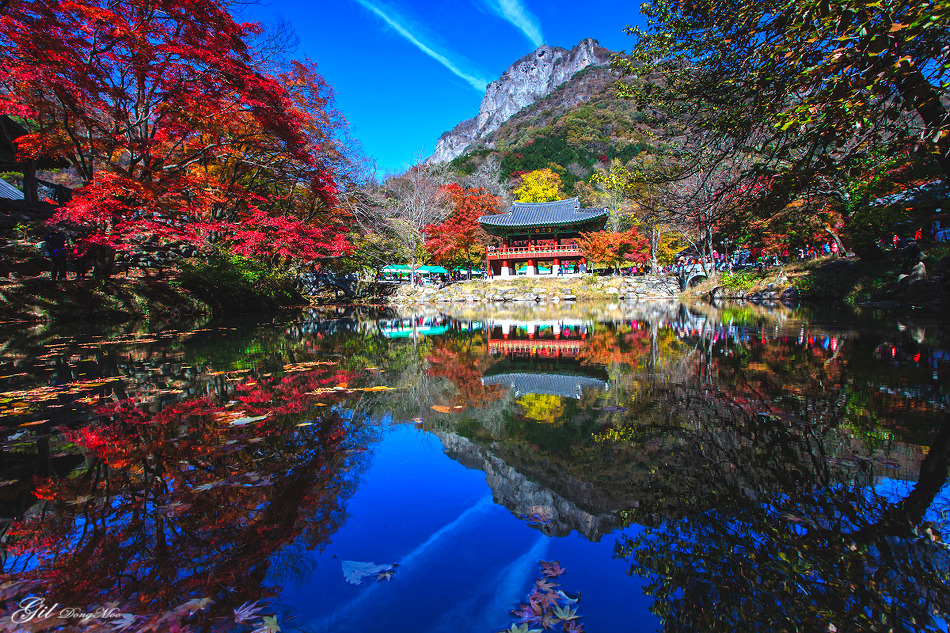 Naejangsan Tour Naejangsan Tour