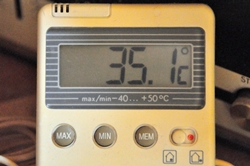 Noch eine Schüppe mehr als gestern... Noch eine Schüppe mehr als gestern...