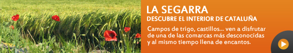 Delta del Ebro. Casas Rurales delta del Ebro. Casas Rurales