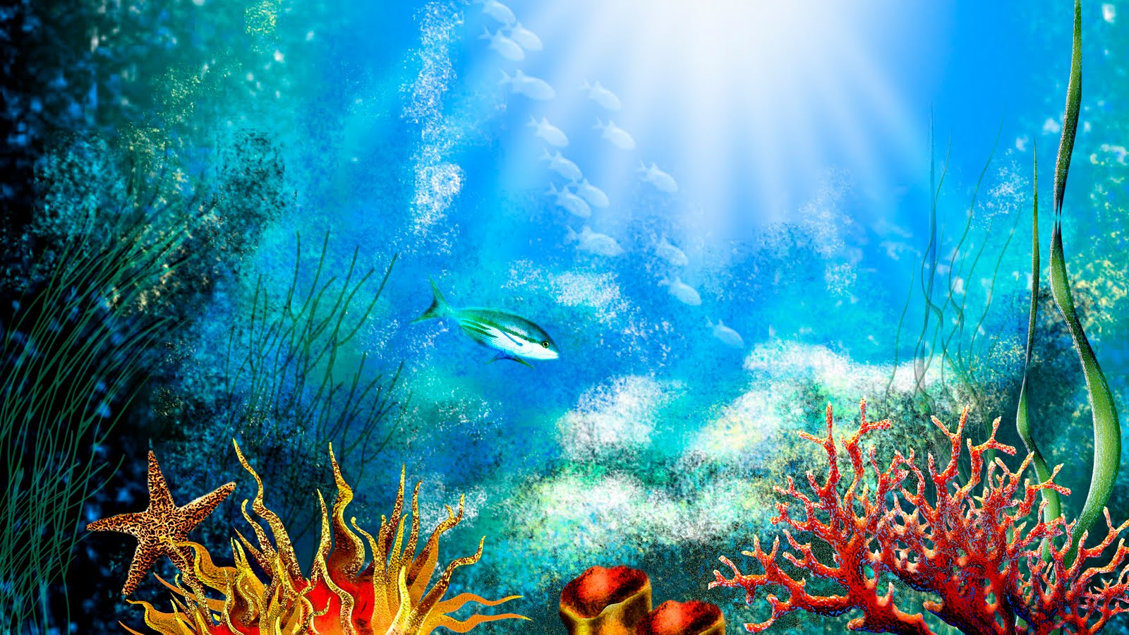 Download 21 hd-aquarium-wallpapers Free-Aquarium-Wallpaper-Download-WallpaperAsk.jpg