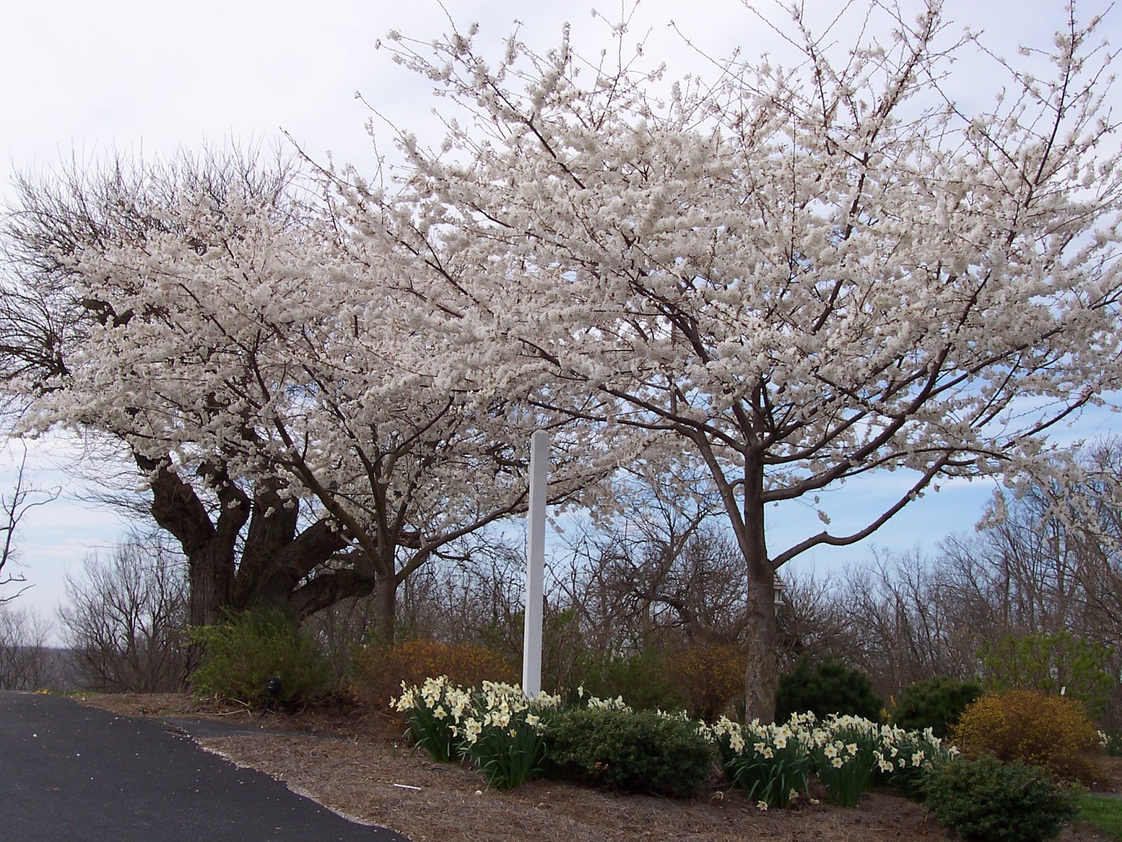 Explore! Southern Indiana Enjoy Spring in Southern Indiana