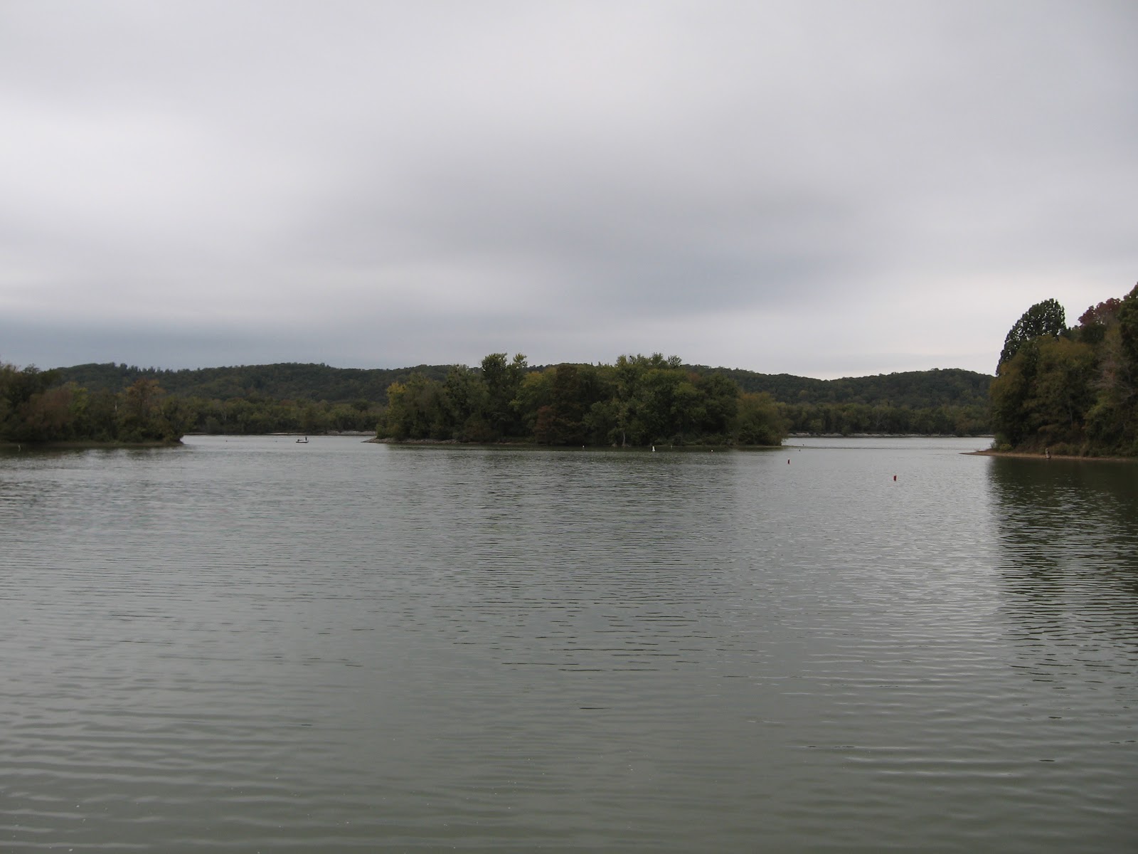 Took the Plunge has Simplified! Shorts vs. Pants on the Loop